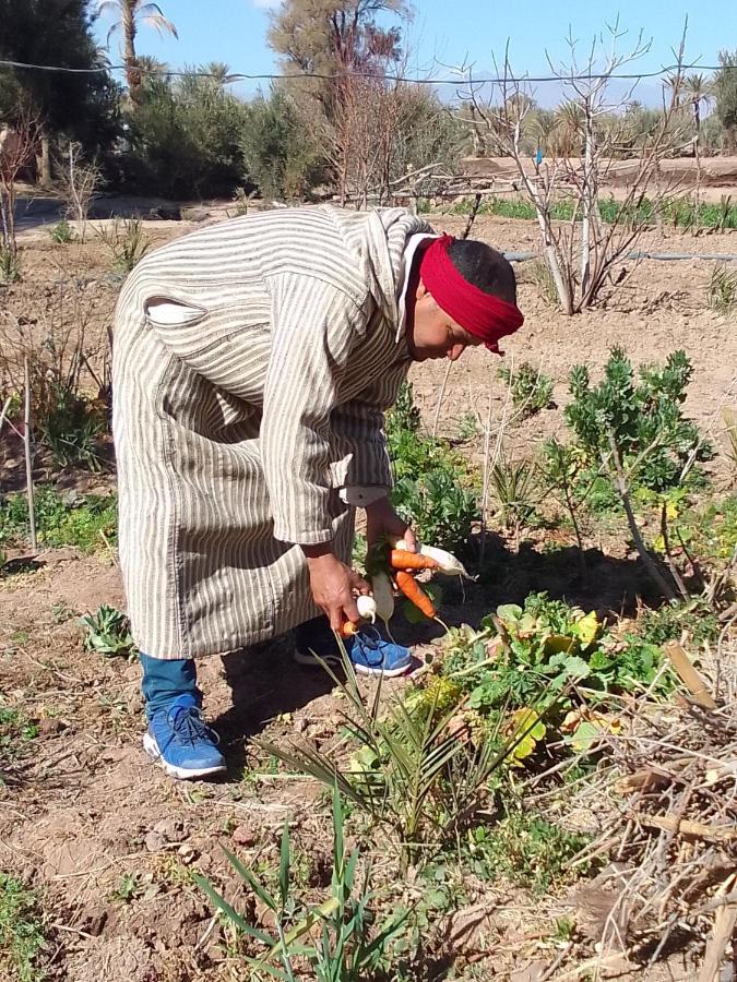 Kasbah Dar Dmana Ξενοδοχείο Skoura Εξωτερικό φωτογραφία