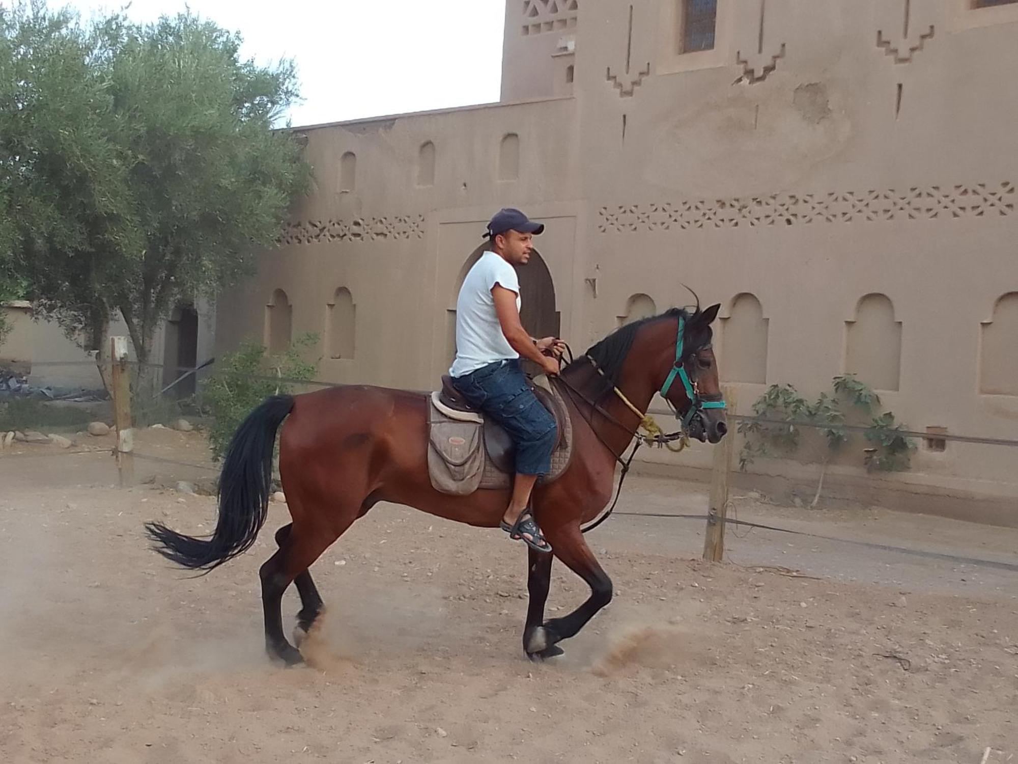 Kasbah Dar Dmana Ξενοδοχείο Skoura Εξωτερικό φωτογραφία