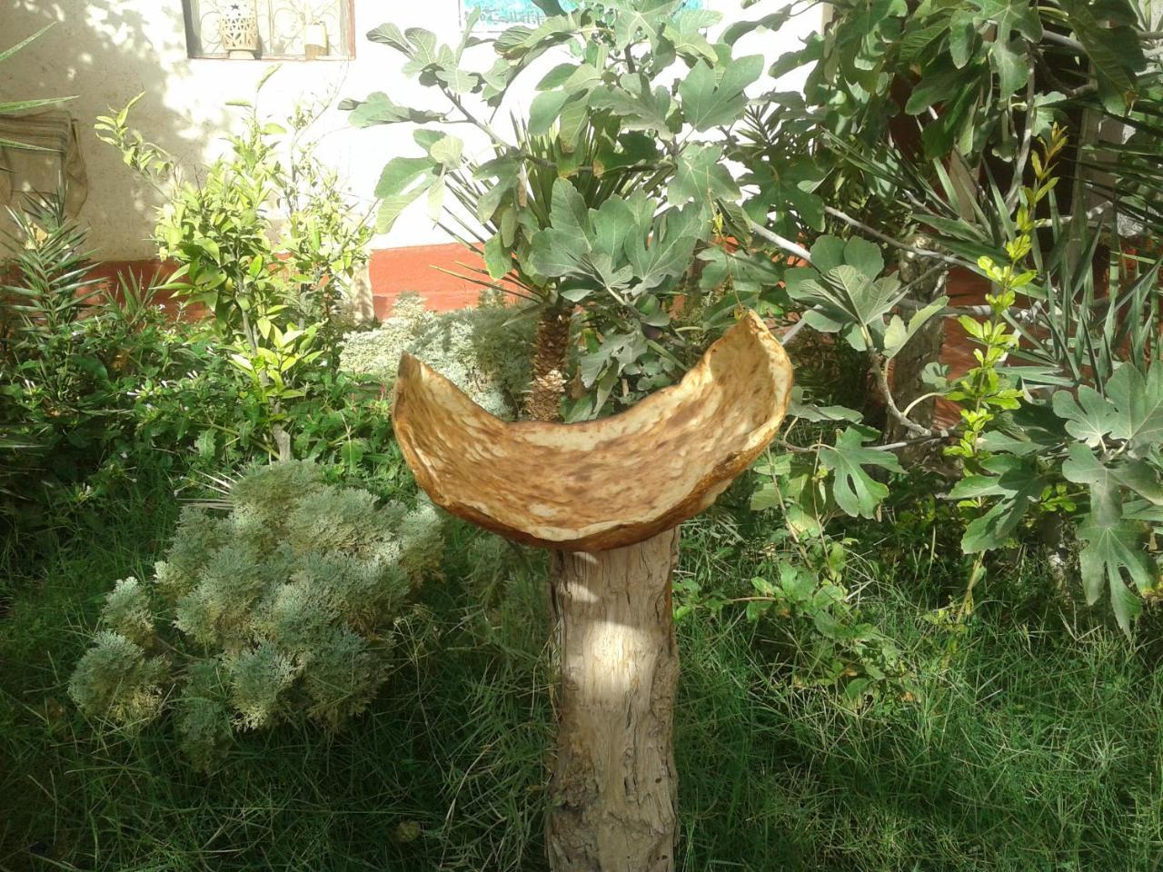 Kasbah Dar Dmana Ξενοδοχείο Skoura Εξωτερικό φωτογραφία